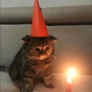 Meet your Posher, heerkitty